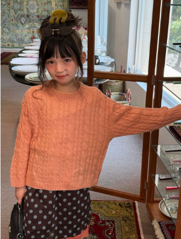 Girls Sweater 2026 Autumn and  - Baby Clothing Jumpers review and price